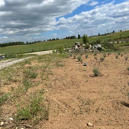 Tatil Evi Koniec Swiata Z Basenem